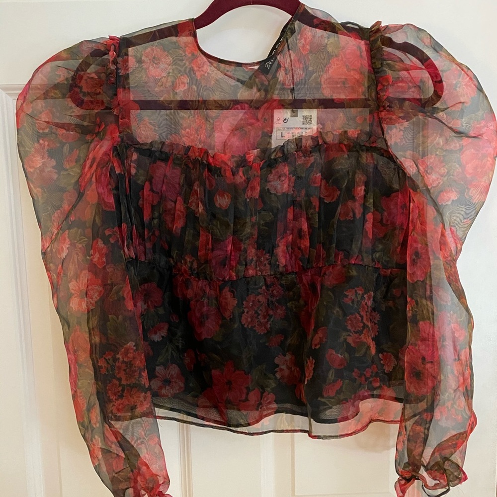 NWOT! Floral Zara Top